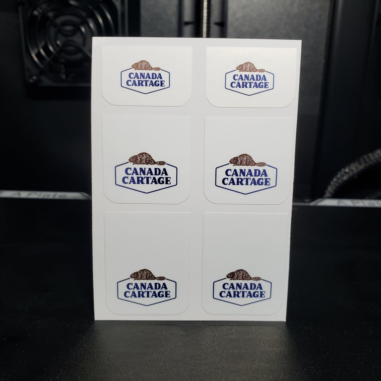 1/25 Canada Cartage on White MudFlap