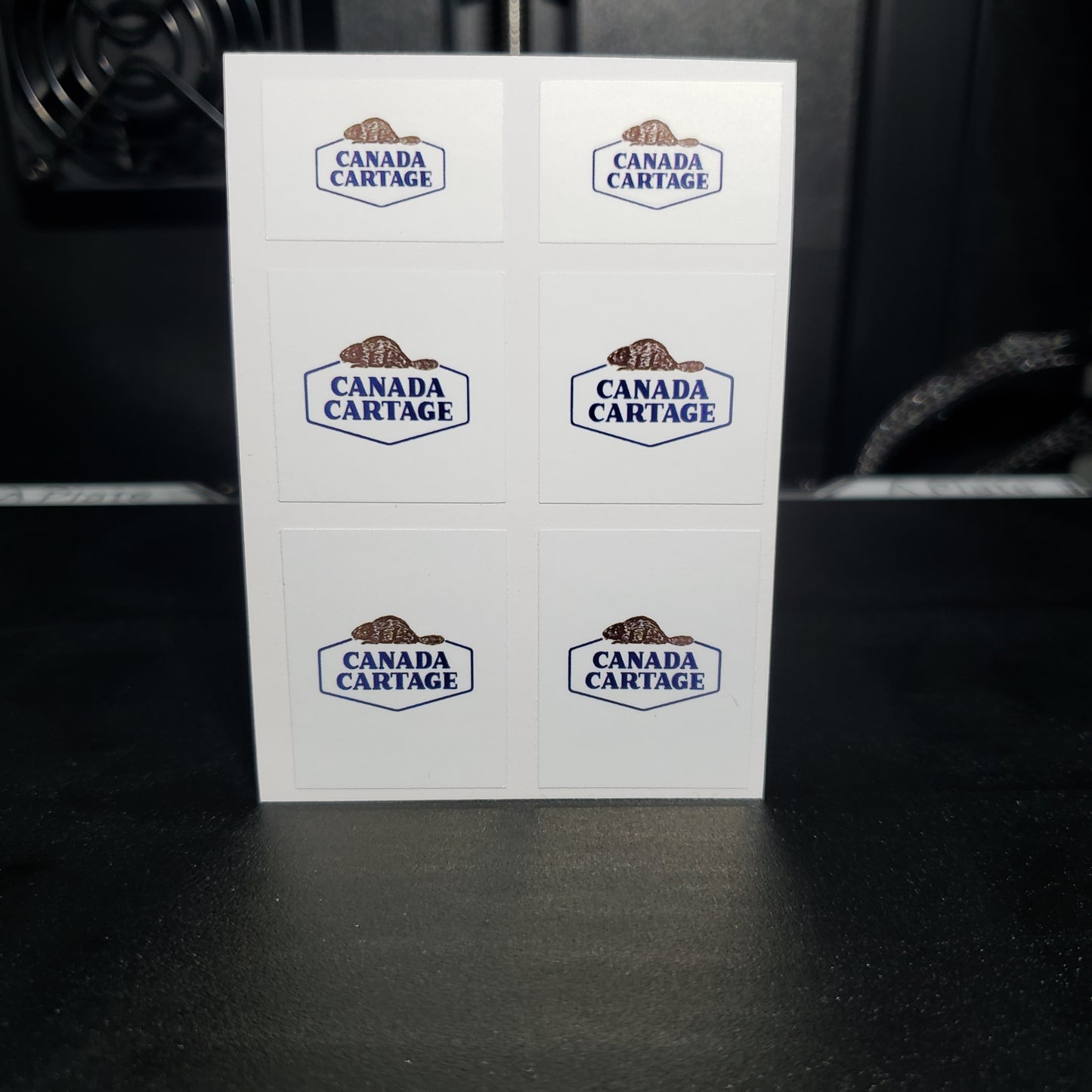 1/25 Canada Cartage on White MudFlap