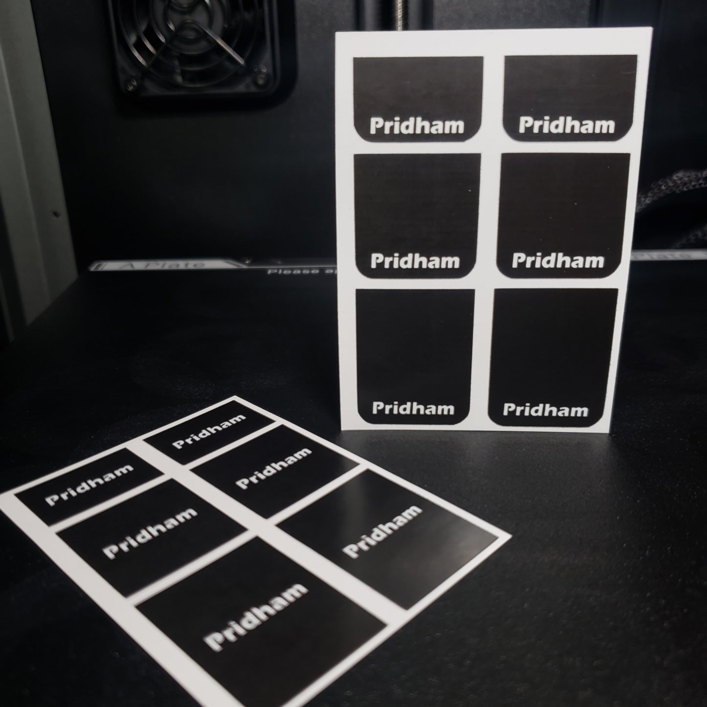 1/25 Pridham White on Black MudFlap